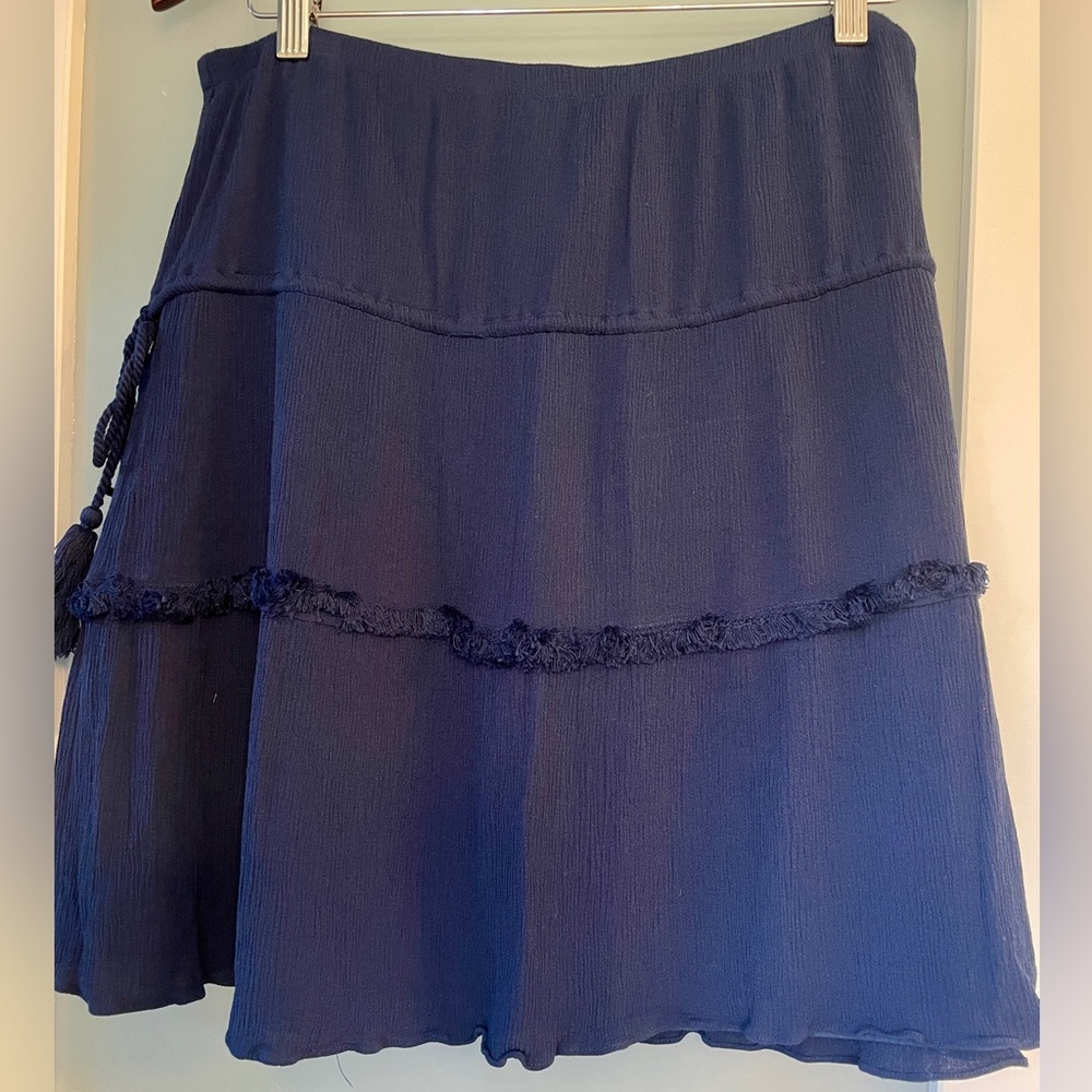 Max Studio Navy Skirt